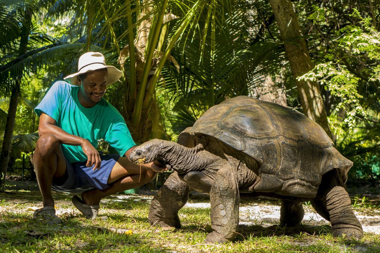 Denis Private Island Seychelles Hotel Denis Island Bagian luar foto