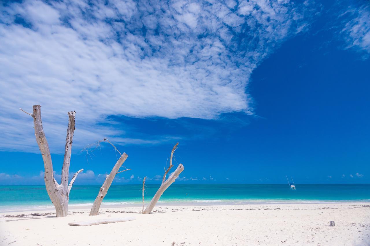 Denis Private Island Seychelles Hotel Denis Island Bagian luar foto